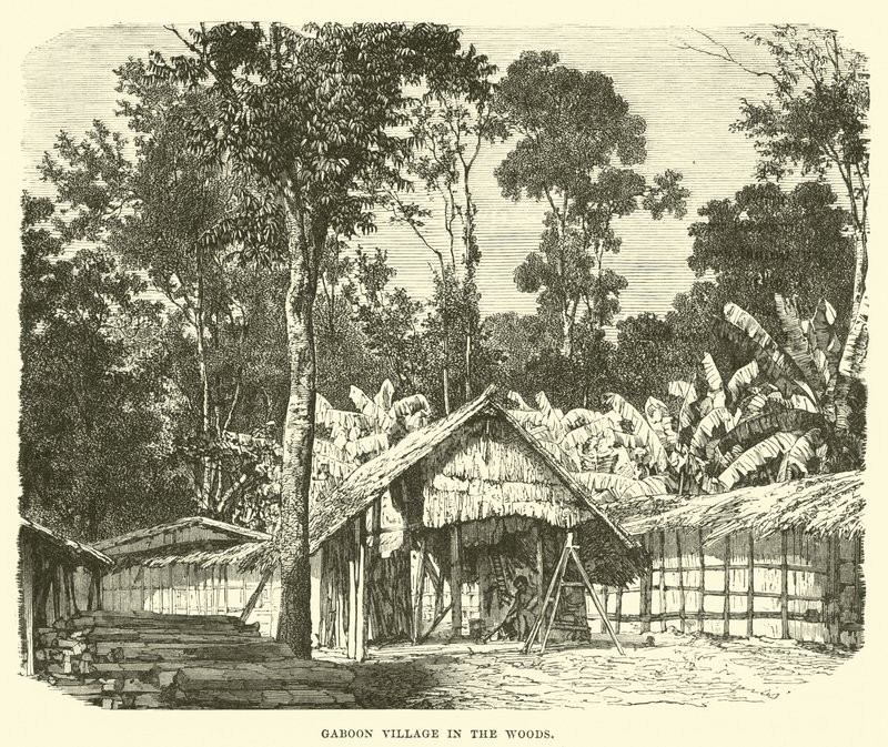 Village gabonais dans les bois - English School