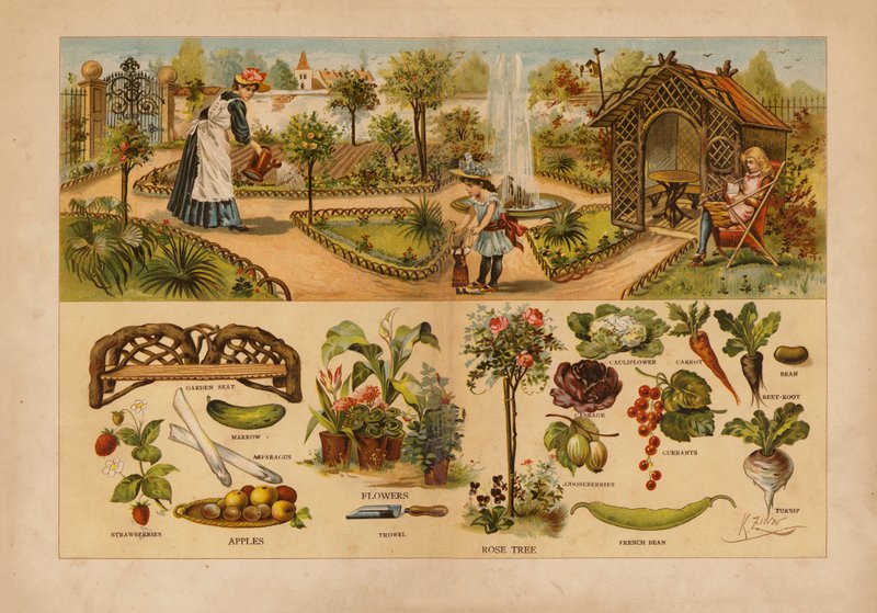 Jardin - English School