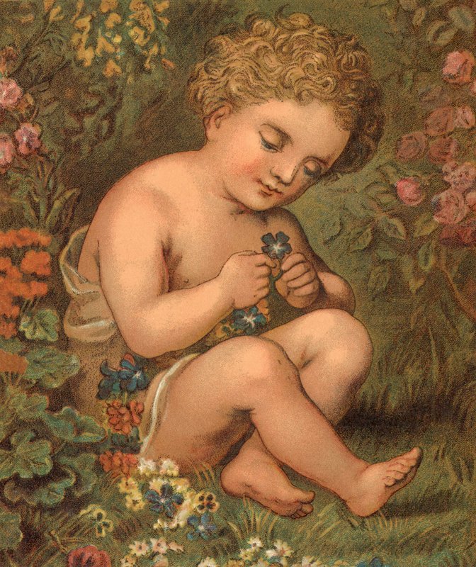 Fleurs de jardin - English School