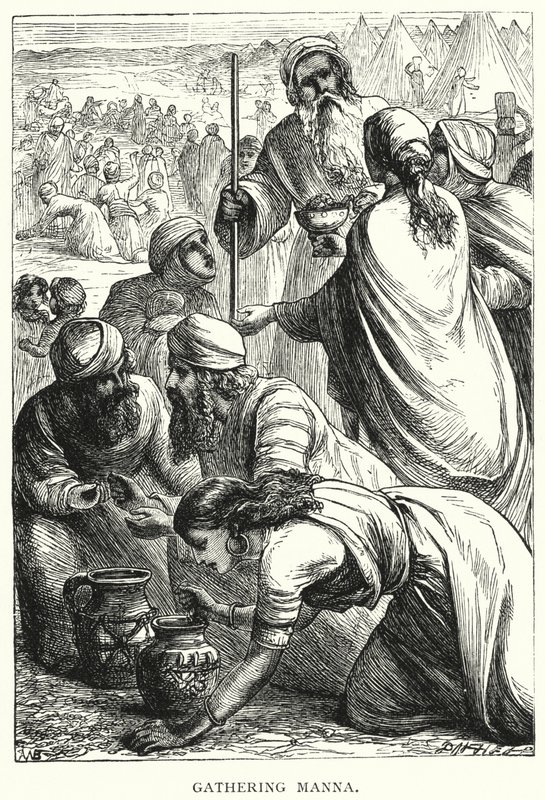 La Récolte de la Manne - English School