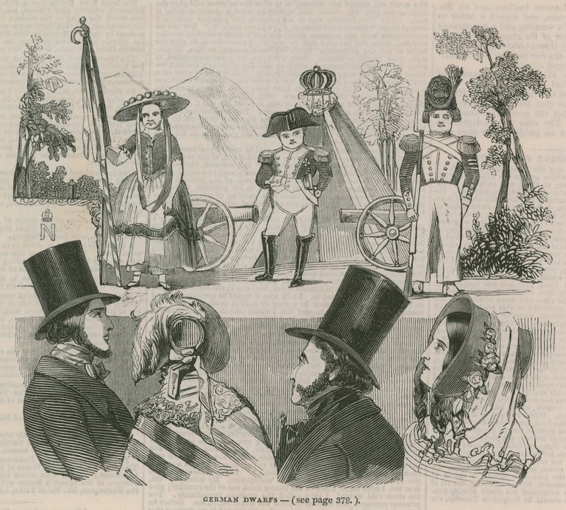 Nains allemands - English School
