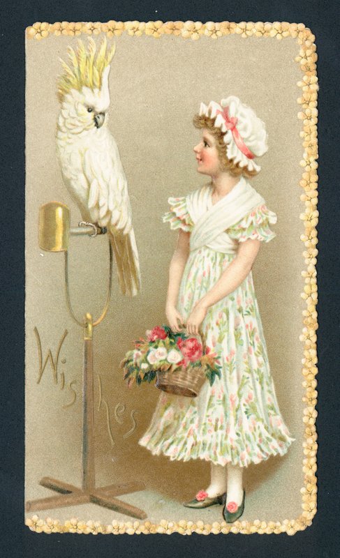 Fille et perruche - English School
