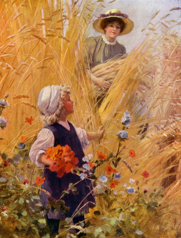Fille cueillant des coquelicots dans un champ de blé tandis qu