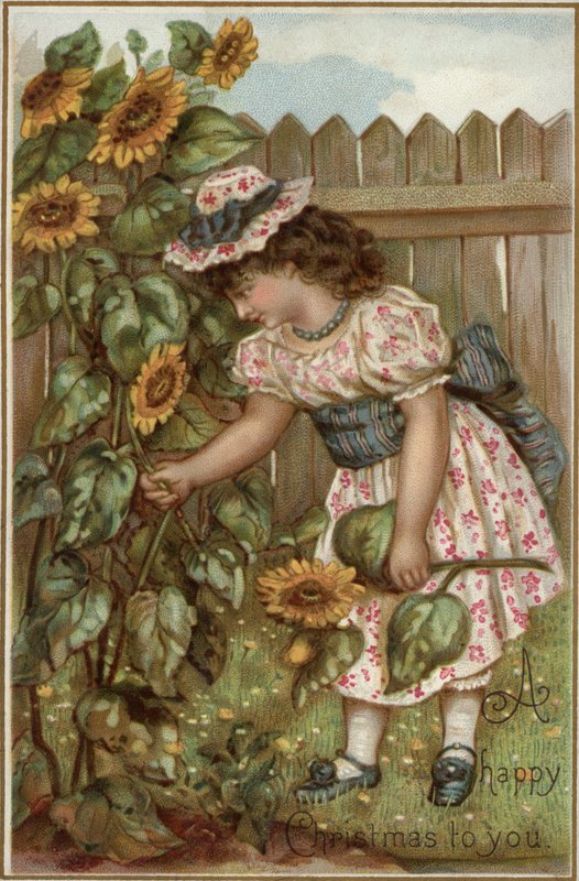 Fille cueillant des tournesols dans un jardin - English School