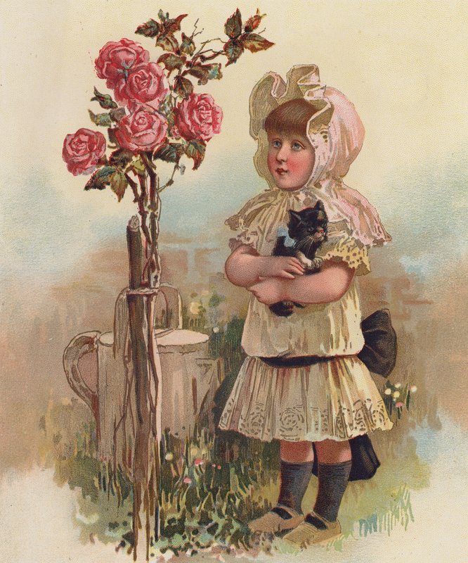Fille avec un chat et un rosier - English School