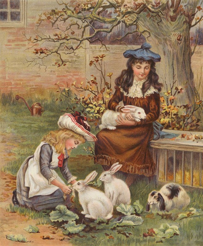 Filles prenant soin de leurs lapins de compagnie - English School