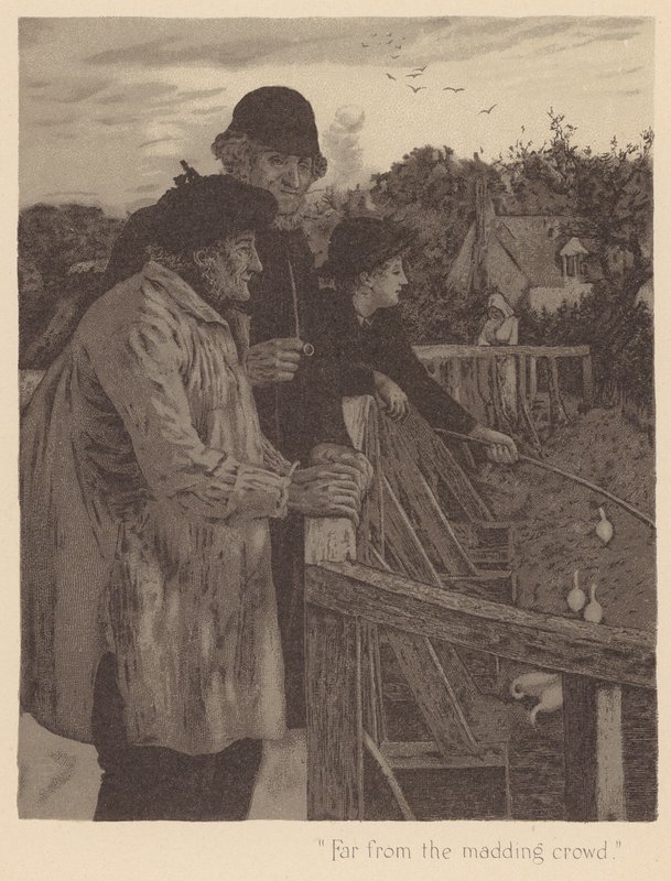Élégie de Gray : "Loin de la foule déchaînée" - English School