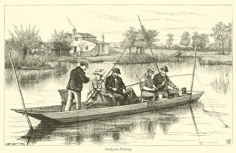 Pêche au goujon - English School