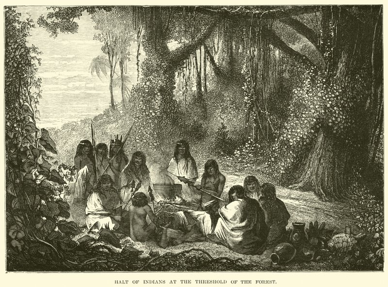 Halte des Indiens au seuil de la forêt - English School