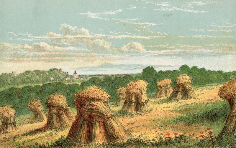 Récolte - English School