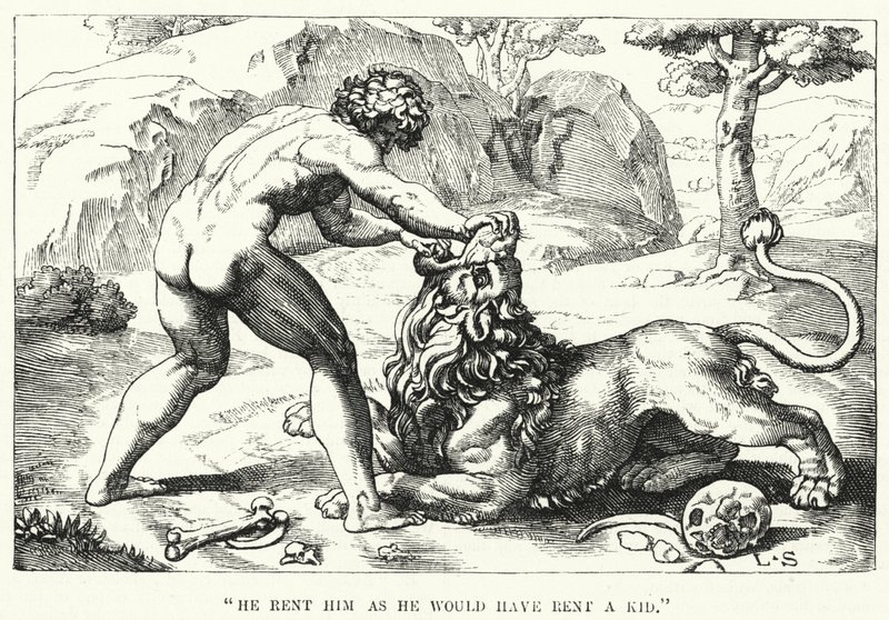 "Il le déchira comme il aurait déchiré un chevreau" (gravure) - English School