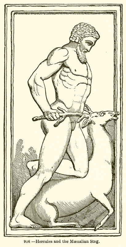 Hercule et la biche de Maenalie - English School