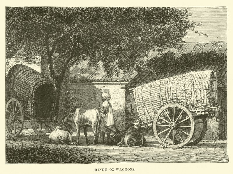 Chariots à bœufs hindous - English School