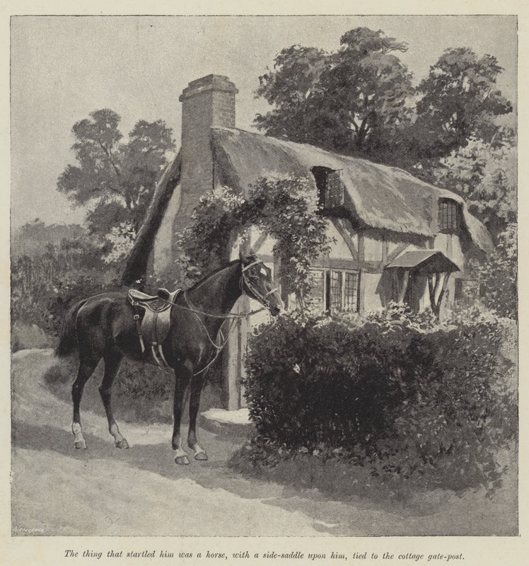 Sa bonne fée, par Mary Elizabeth Braddon (gravure) - English School