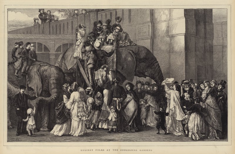 Les gens en vacances au jardin zoologique (gravure) - English School