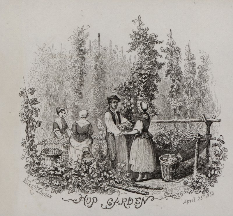 Jardin de houblon - English School