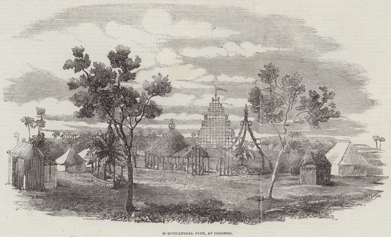 Fête horticole à Colombo - English School