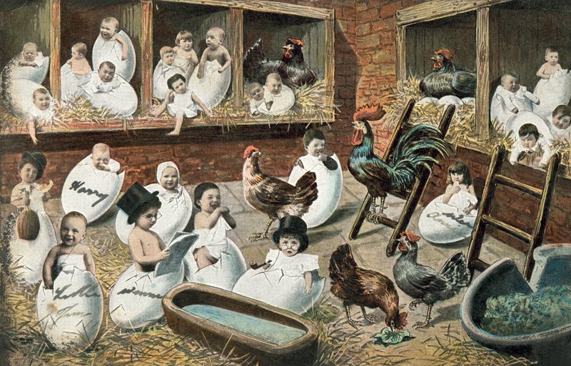 Bébés humains éclosant d