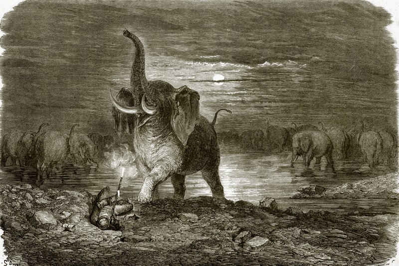 Chasseur et éléphant - English School