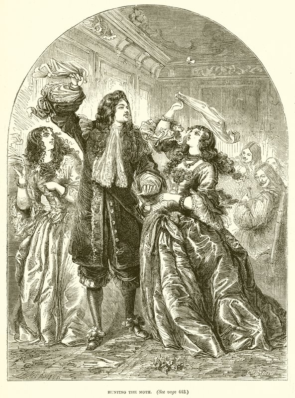 Chasse au papillon de nuit - English School