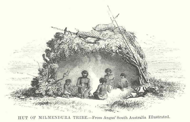 Hutte de la tribu Milmendura (gravure) - English School