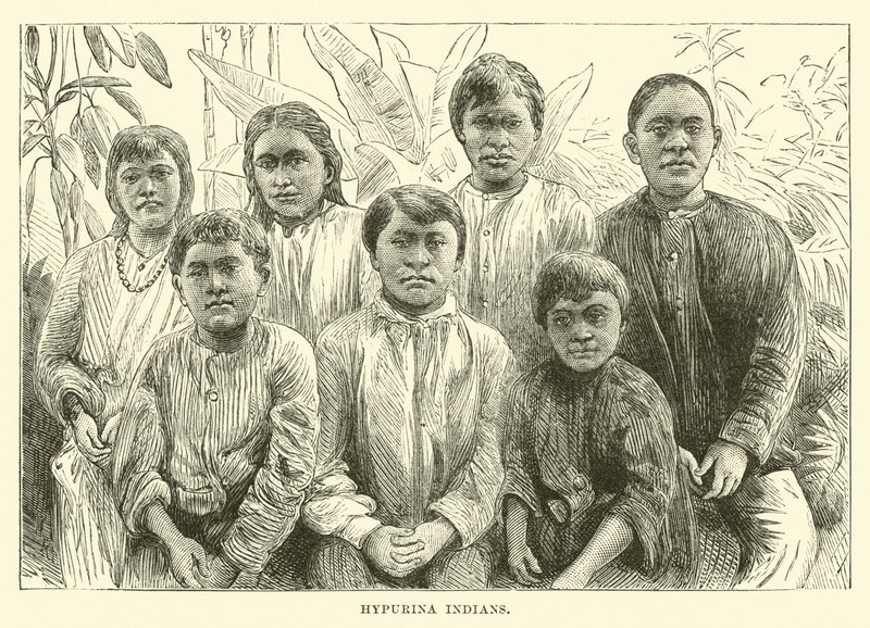 Indiens Hypurina - English School
