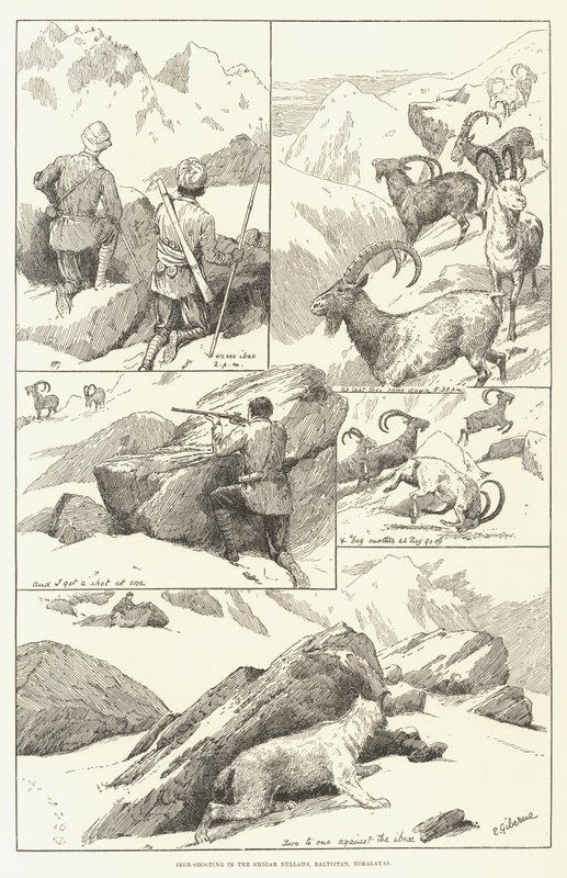 Chasse à l