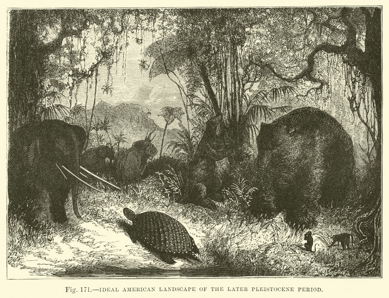 Paysage américain idéal de la période du Pléistocène tardif - English School