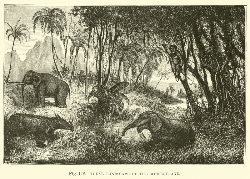 Paysage idéal de l