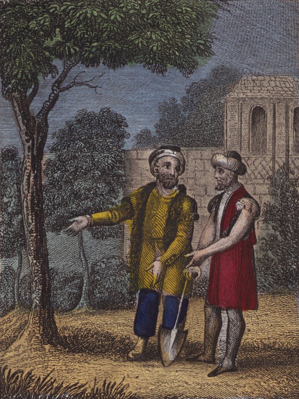 Si après des douleurs et de la patience, tu peux voir... - English School