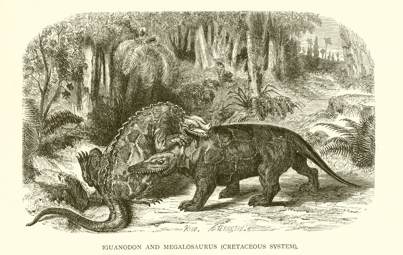 Iguanodon et Mégalosaurus, Système Crétacé - English School
