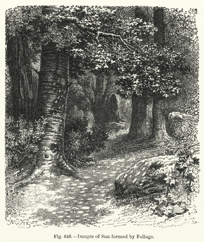 Images du soleil formées par le feuillage - English School