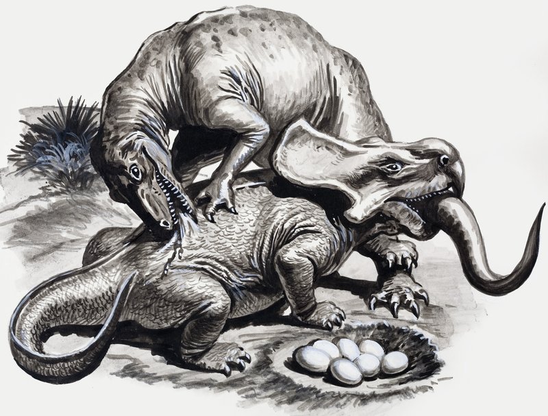 Au temps des dinosaures : Découverte dans le désert - English School