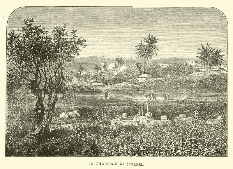 Dans la plaine de Jezreel - English School