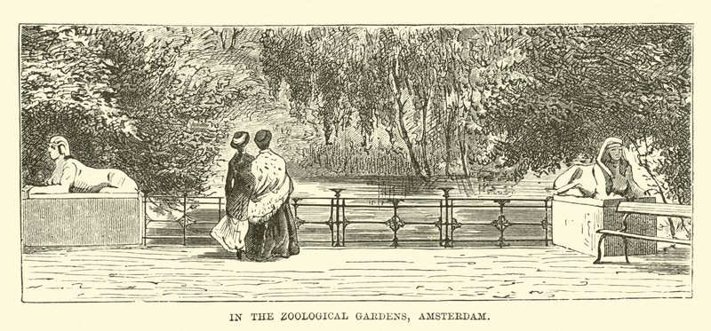 Dans les Jardins zoologiques, Amsterdam - English School