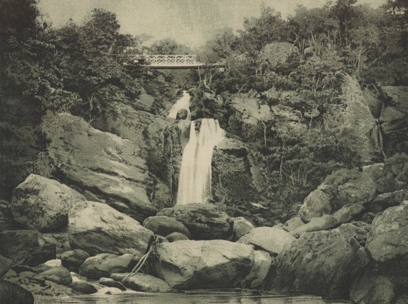 Chutes d