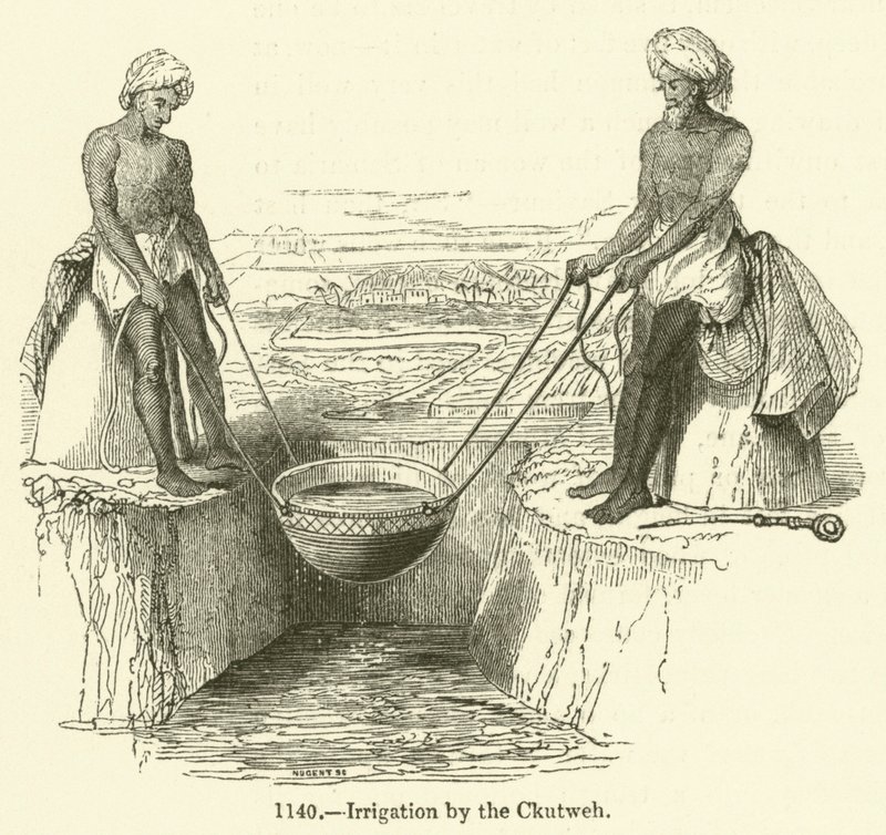 Irrigation par le Ckutweh - English School