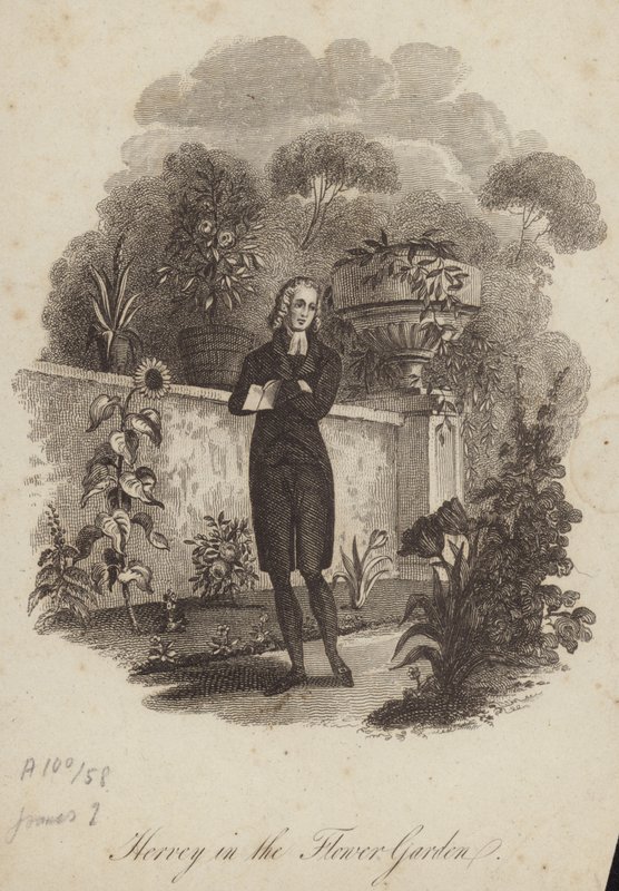 James Hervey dans le jardin de fleurs - English School
