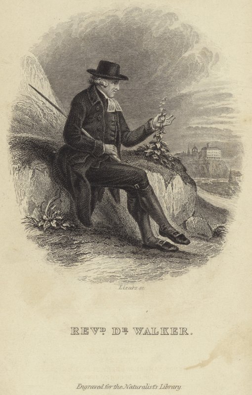 John Walker - English School