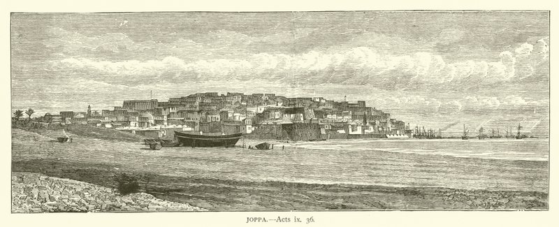 Joppé, Actes, ix, 36 - English School