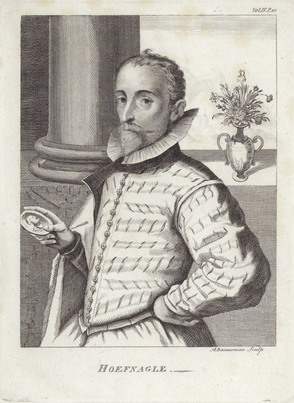 Joris Hoefnagel - English School