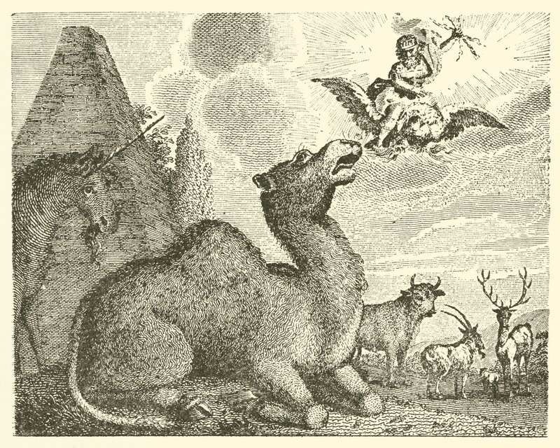 Jupiter et le chameau (gravure) - English School