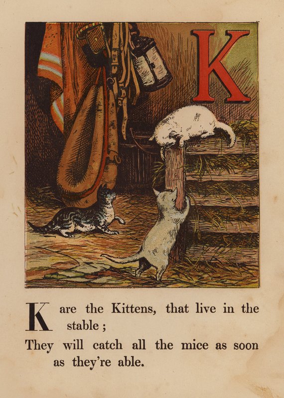 K, Chatons - English School