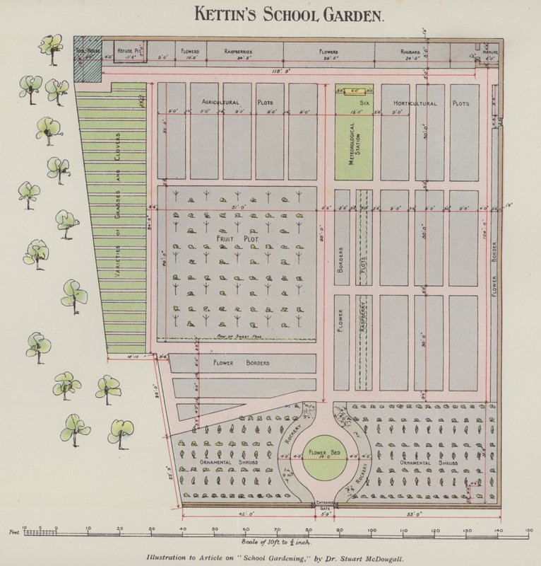 Le jardin scolaire de Kettin (lithographie en couleur) - English School