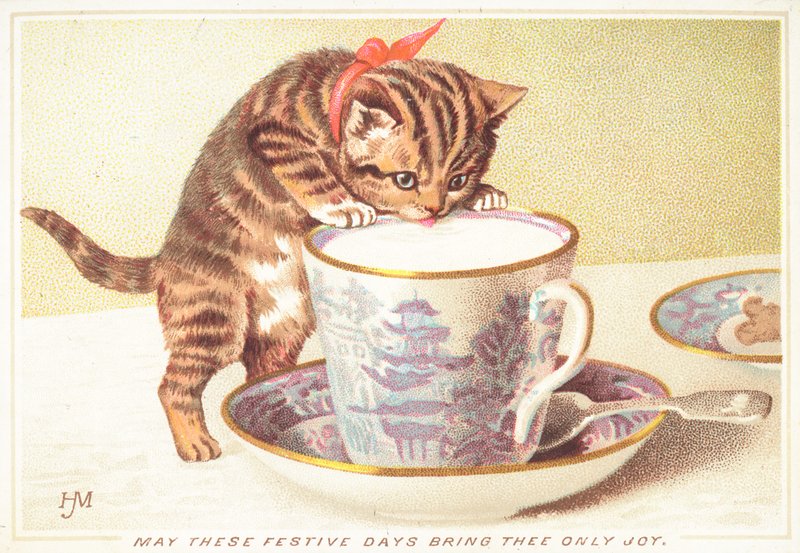 Chaton buvant dans une tasse de thé, Carte de Noël - English School