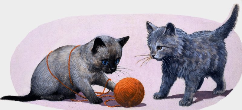 Chatons jouant avec une pelote de laine - English School