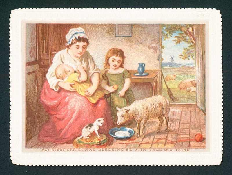 Agneau buvant du lait dans la cuisine - English School