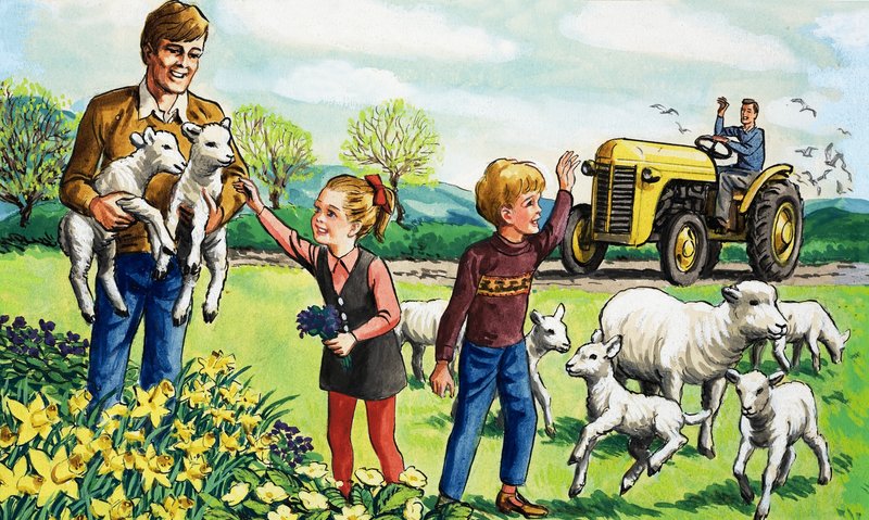 Agneaux au printemps - English School