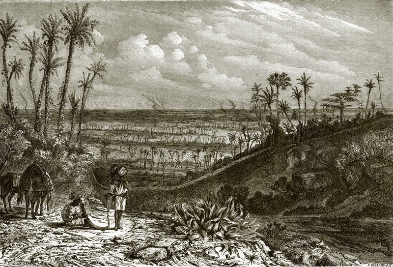 Paysage de l