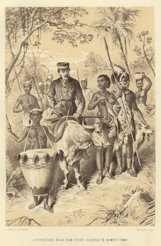 Livingstone affaibli par la fièvre escorté à la ville de Shinte - English School